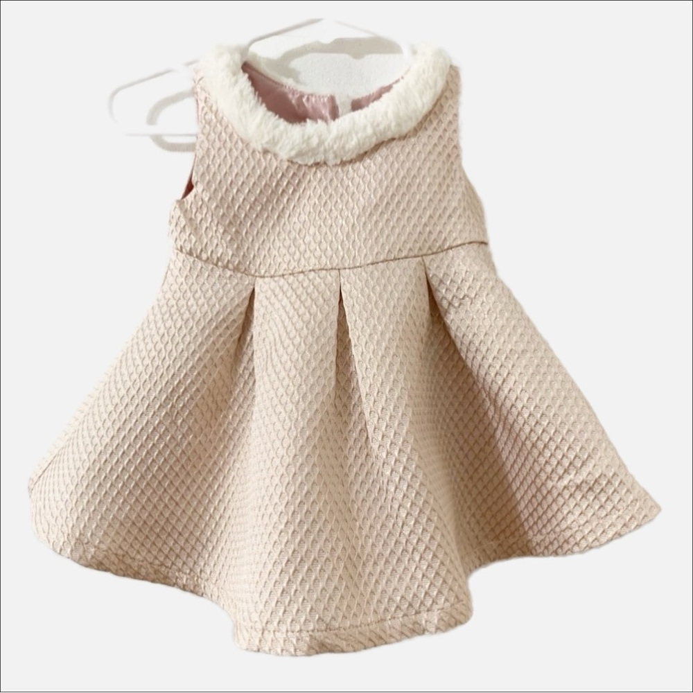 The Children’s Place Fully Lined Box Pleated Party Dress FauxFur Collar Metallic